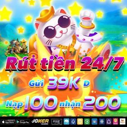 55QQ